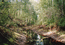 Один из типичных ландшафтов голоценовой террасы: ленивая протока, отводящая бурые болотные воды, жмущиеся к берегам узкие ленты непролазно закустаренных березово-осиновых лесов, а вокруг – обширные пространства непроходимых кочкарников... Пойма нижней Оби. Г.Таран.